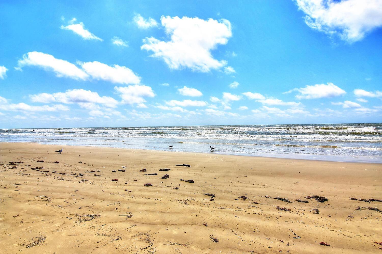 Sugar Shack Sh4897 Villa Port Aransas Ngoại thất bức ảnh